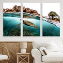 Sea Turtle Wall Art Canvas Print – Framed Ocean Life
