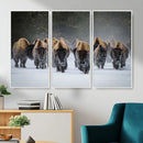 Bison Herd Wall Art Canvas Print, Framed Rustic Wildlife by MyGreatCanvas | Canvas Wall Art Prints | Photo Prints & Wall Decor