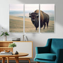 Bison Wall Art Canvas Print – Framed Buffalo American Bison