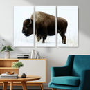 Bison Wall Art Canvas Print – Framed Western Wildlife