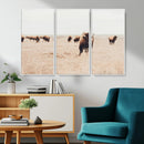 Bison Herd Wall Art Canvas Print – Framed Western Prairie by MyGreatCanvas | Canvas Wall Art Prints | Photo Prints & Wall Decor