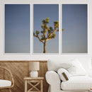 Joshua Tree Wall Art Canvas Print – Framed Southwestern