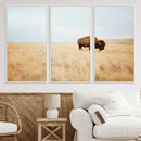 Buffalo Wall Art Canvas Print – Framed Western Wildlife