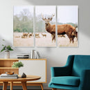 Rustic Deer Wall Art Canvas Print – Forest Woodland Stag