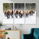 American Bison Herd Wall Art Canvas Print – Powerful Winter by MyGreatCanvas | Canvas Wall Art Prints | Photo Prints & Wall Decor