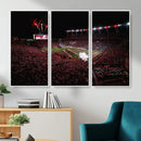 William Brice Stadium Wall Art Print – Baseball Game Room by MyGreatCanvas | Canvas Wall Art Prints | Photo Prints & Wall Decor