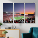 Dooley Stadium Wall Art, Sports Arena Canvas Print, Dooley