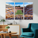 Tennessee Neyland Stadium Wall Art, Sports Arena Canvas by MyGreatCanvas | Canvas Wall Art Prints | Photo Prints & Wall Decor
