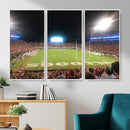 Dooley Stadium Wall Art, Sports Arena Panoramic Canvas
