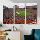 Jordan-Hare Stadium Wall Art Canvas Print, College Sports by MyGreatCanvas | Canvas Wall Art Prints | Photo Prints & Wall Decor