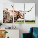 Texas Catle Longhorn Wall Art Canvas Print for Farmhouse by MyGreatCanvas | Canvas Wall Art Prints | Photo Prints & Wall Decor