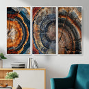 Tree Ring Triptych Canvas Wall Art — Set of 3 Wood Grain by MyGreatCanvas | Canvas Wall Art Prints | Photo Prints & Wall Decor