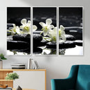 Plumeria Frangipani Black Stone Canvas | White Flower Spa by MyGreatCanvas | Canvas Wall Art Prints | Photo Prints & Wall Decor