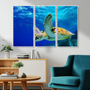 Sea Turtle Wall Art Canvas Print, Sea life in the Ocean Wall