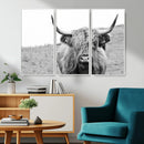 Newfoundland Cow Art Wall Art, Black White Cow Art Wall Art