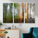 Four Seasons Wall Art Forest Canvas Print – Triptych