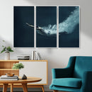 Swimmer Wall Art Canvas Print
