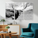Cattle Wall Art Longhorn Cow Canvas Print