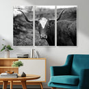Western Home Wall Art Canvas Print, Framed Texas Longhorn by MyGreatCanvas | Canvas Wall Art Prints | Photo Prints & Wall Decor