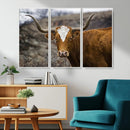 Framed Big Cow Animal Wall Art Canvas Print by MyGreatCanvas | Canvas Wall Art Prints | Photo Prints & Wall Decor
