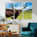 Longhorn and Cow Wall Art, Country Cow Wall Decor Canvas by MyGreatCanvas | Canvas Wall Art Prints | Photo Prints & Wall Decor