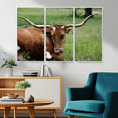 Longhorn Cow Animal Wall Art Canvas Print by MyGreatCanvas | Canvas Wall Art Prints | Photo Prints & Wall Decor