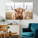 Scottish Serene Highland Cow Canvas Wall Art – Serene