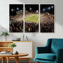 Washington-Grizzly Stadium Canvas Print, American Football