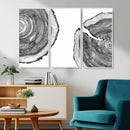 Abstract Large Tree Rings – Minimalist Black and White Wood