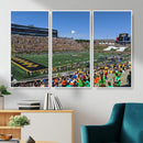 University of Missouri Tigers Football Team Print - Columbia