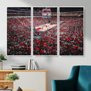 Louisville Cardinals Basketball Print Canvas - Louisville