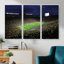 Michigan Wolverines Football Canvas Wall Decor, Football