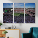 South Carolina Gamecocks Football Team Print - Columbia