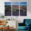 South Carolina Gamecocks Football Team Print - Columbia