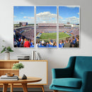 Buffalo Bills NFL Football Team Print - Buffalo Highmark
