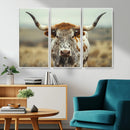 Texas Cow Longhorn Wall Art Canvas Print for Farm House Wall