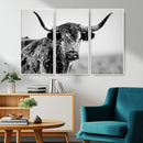 Texas Cow Longhorn Wall Art Canvas Print in Black and White
