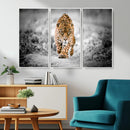 Jaguar Wall Art Canvas Print - Majestic Big Cat in Focused by MyGreatCanvas | Canvas Wall Art Prints | Photo Prints & Wall Decor