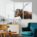 Rustic Bull Wall Art Canvas Print – Modern Longhorn