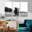 Black and White Highland Cow Wall Art Canvas Print | Rustic