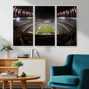 Eagles Field Stadium Wall Art - Philadelphia Eagles Football
