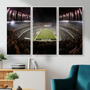 Eagles Field Stadium Wall Art - Philadelphia Eagles Football