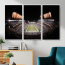 Eagles Field Stadium Wall Art - Lincoln Financial Field