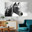 Horse Canvas Print - Winter Horse Snow Wall Art Canvas Print