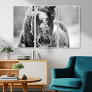 Black and White Horse Winter Wall Art | Ready to Hang and