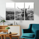 Scottish Highland Cow Wall Art | Black and White Canvas
