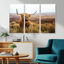 Scottish Highland Cow Canvas Wall Art – Rustic Farmhouse