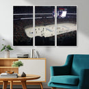 Honda Center California Anaheim Ducks Hockey Stadium Wall