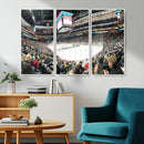 Xcel Energy Center St Paul Minnesota Wild Ice Hockey Stadium
