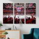 Carolina Hurricanes Ice Hockey Stadium Wall Art, Carolina